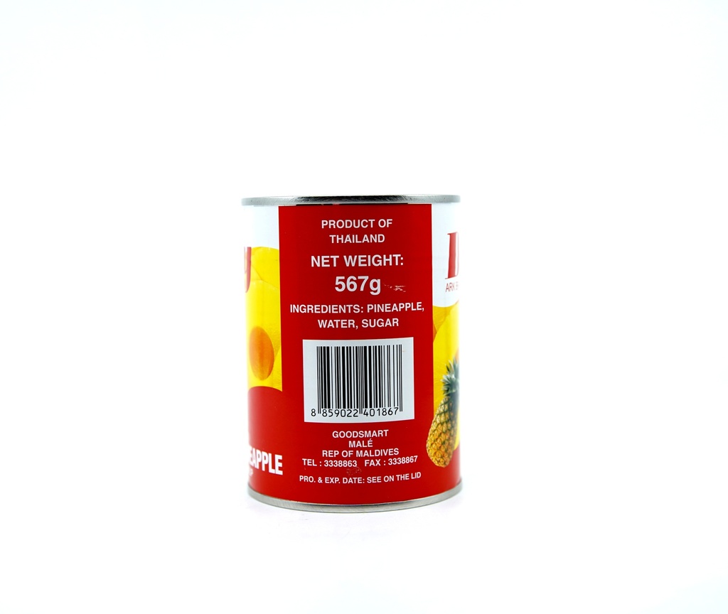 Dixy Ark Pineapple Can 567G