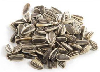 Sunflower Seed Shell Kg