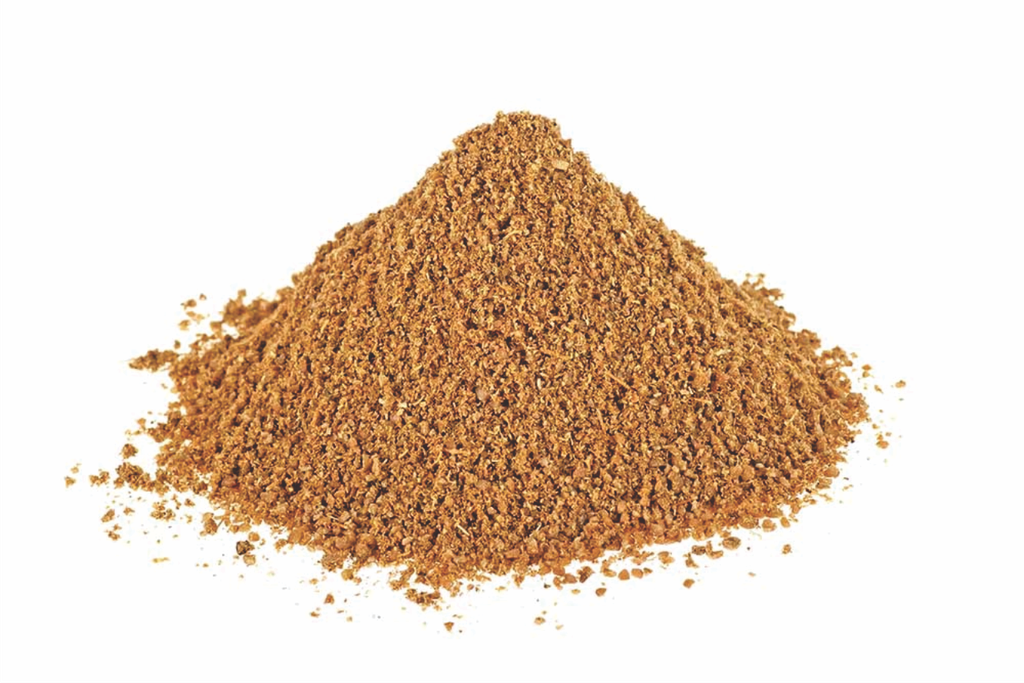 Tasty Coriander Seed Powder 100g