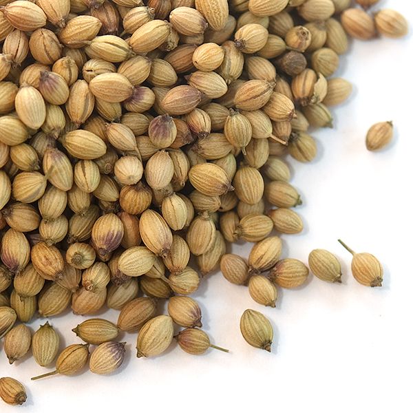 Coriander Seed Kg