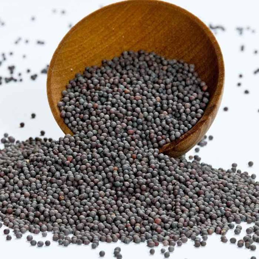 Mustard Seed Kg