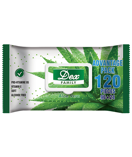 Dex wipes Aloe vera VB5 120P