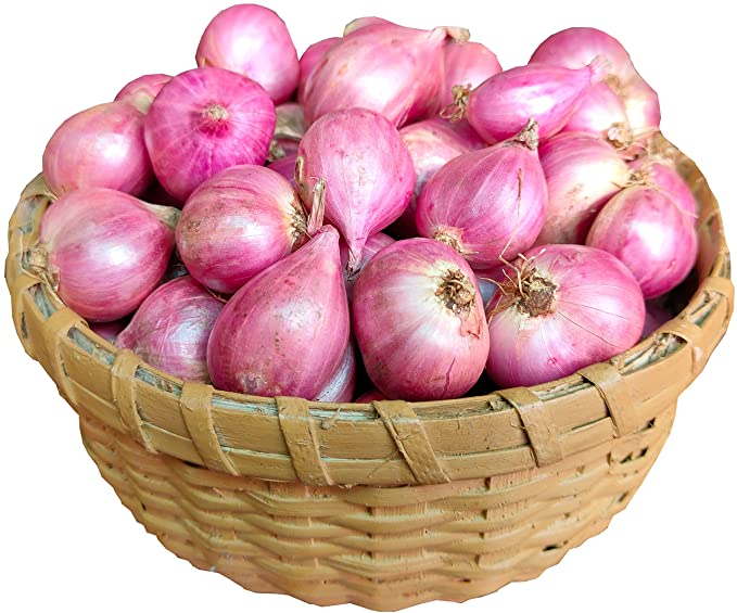 Onion Fresh kg