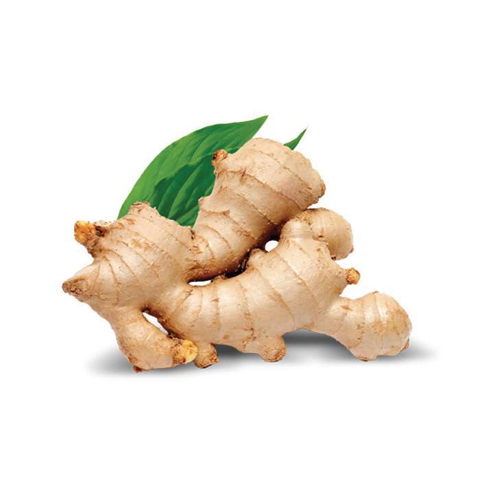 Ginger Fresh Kg