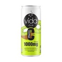Vida Sparkling 325ml Kiwi
