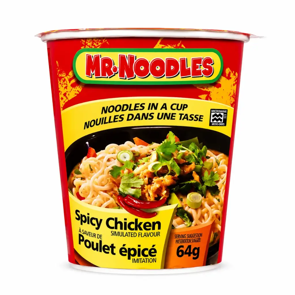 Mr Noodles Cup 64g