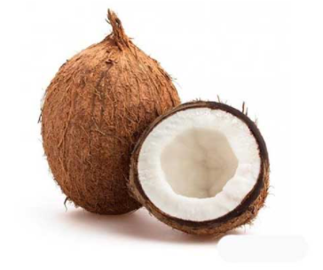 [102031] Coconut Whole Pcs