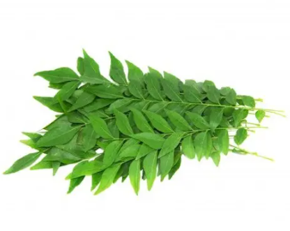 [103027] Curry Leaves Fresh pack Pcs