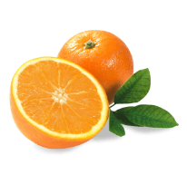 [101017] Orange Fresh Pcs