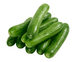 [102017] Cucumber Fresh Lebanese Kg