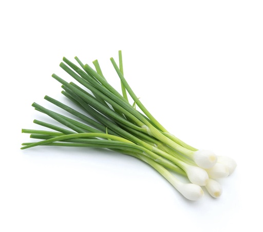 [102029] Spring Onion Fresh Kg