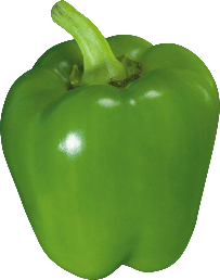 [103001] Bell Pepper Fresh Mix Kg