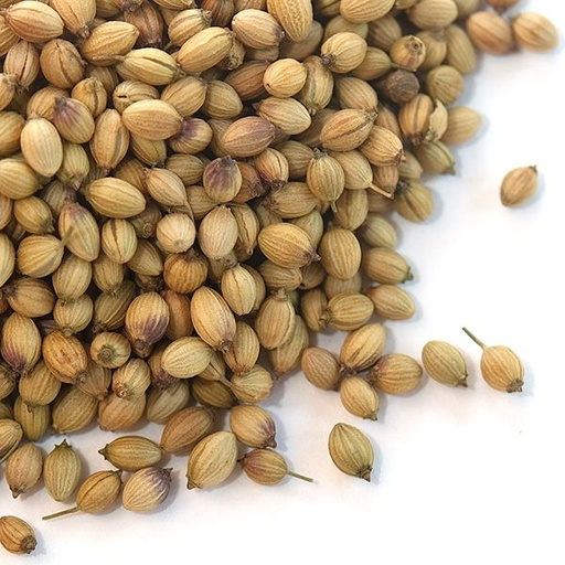 [301030] Coriander Seed Kg