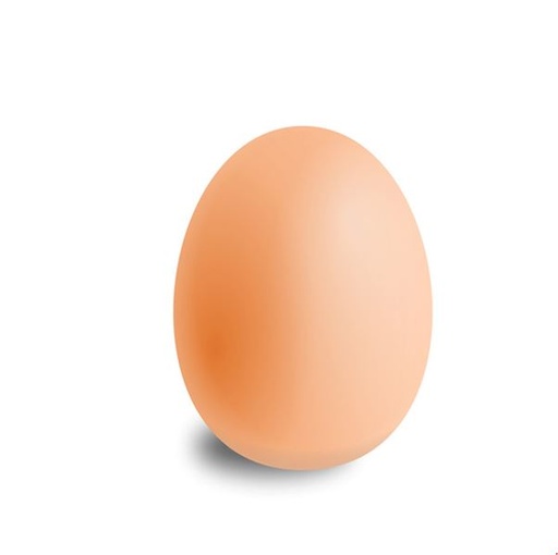 [105012] Brown Egg Fresh Pcs