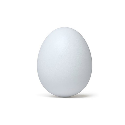 [105013] White Egg Fresh Pcs