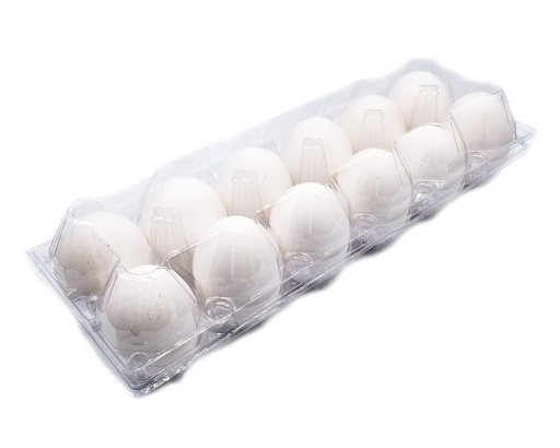 [105254] White Egg Fresh 12pcs T