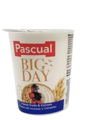 [107161] Pascual Yogurt Bigday Forest Fruit Cereals 125g