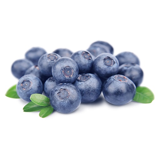 [101161P] Blueberry Fresh 125g Pack