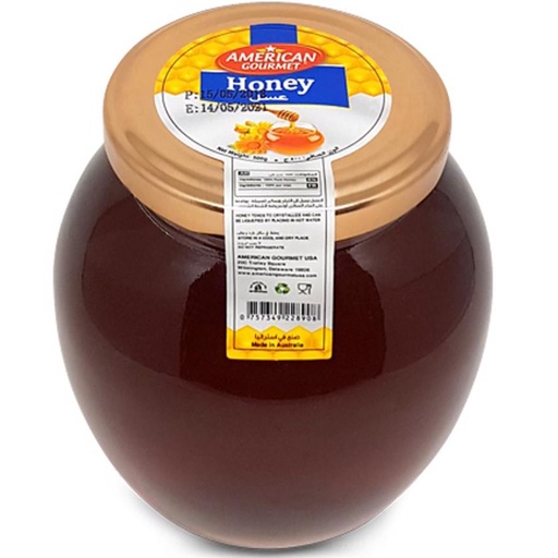 [454158] American Gourmet Honey 500g Btl